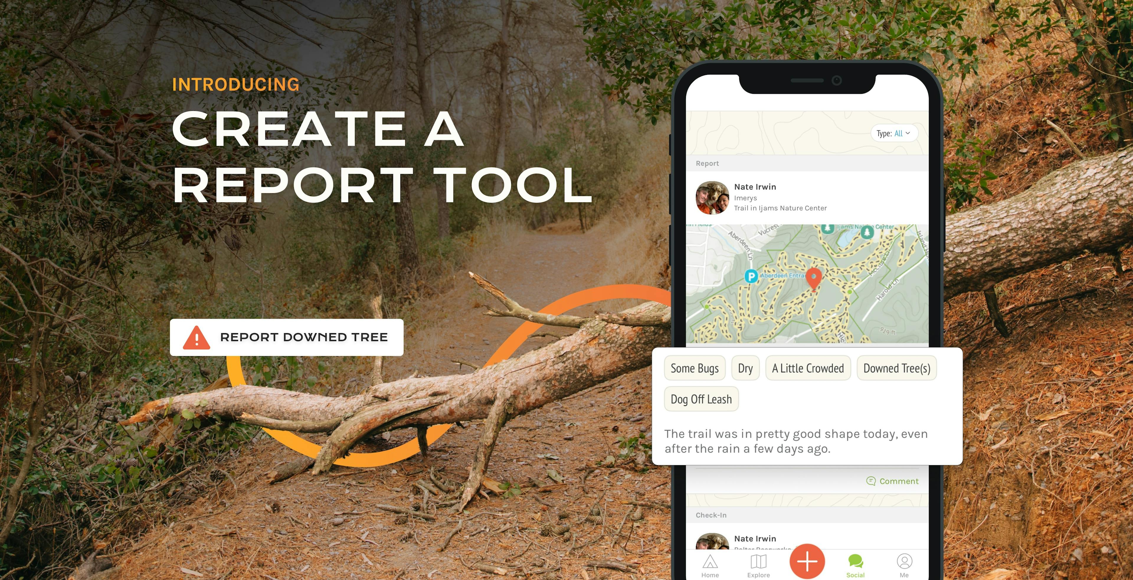 Introducing the Create a Report Tool